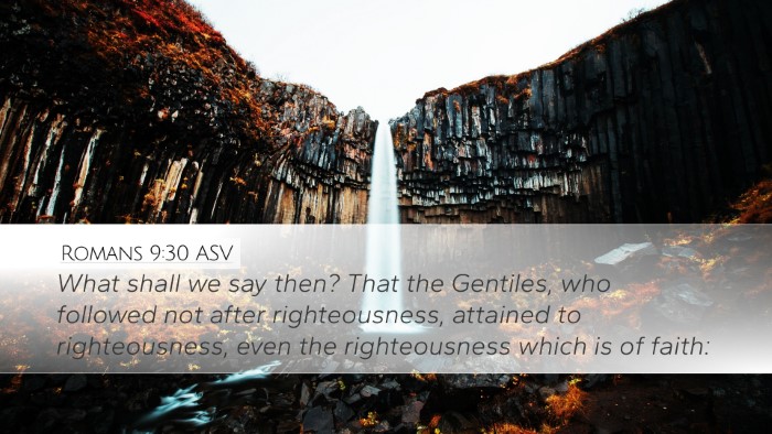 Romans 9:30 ASV Bible Verse Image