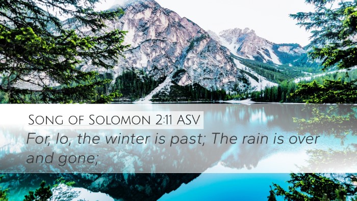 Song of Solomon 2:11 ASV Bible Verse Image