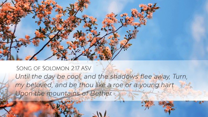 Song of Solomon 2:17 ASV Bible Verse Image