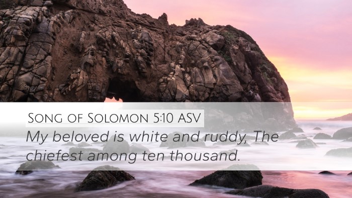 Song of Solomon 5:10 ASV Bible Verse Image