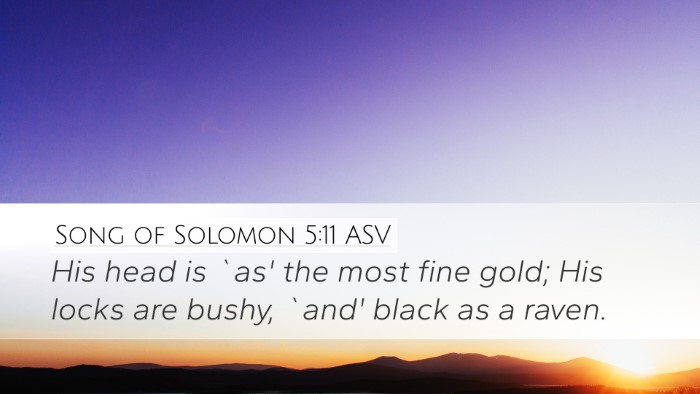 Song of Solomon 5:11 ASV Bible Verse Image