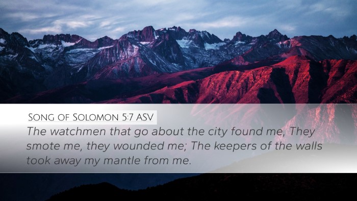 Song of Solomon 5:7 ASV Bible Verse Image