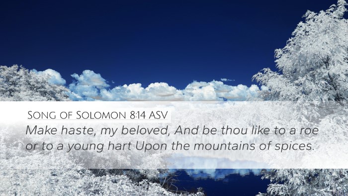Song of Solomon 8:14 ASV Bible Verse Image
