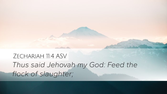 Zechariah 11:4 ASV Bible Verse Image