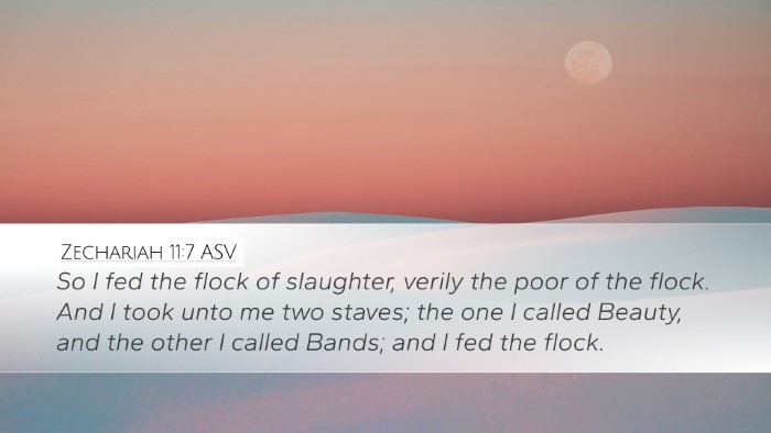 Zechariah 11:7 ASV Bible Verse Image