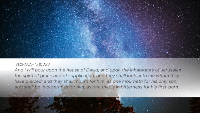 Zechariah 12:10 ASV Bible Verse Image