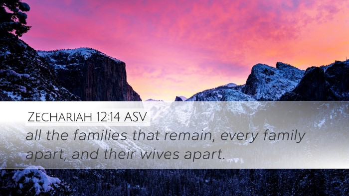 Zechariah 12:14 ASV Desktop Wallpaper - all the families that remain, every family apart, - Desktop Bible Verse Wallpaper