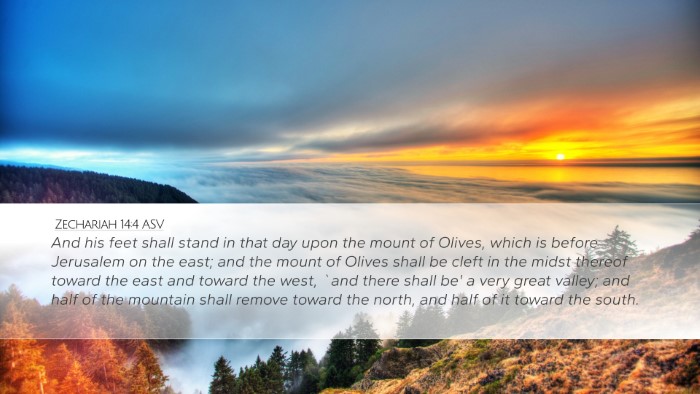 Zechariah 14:4 ASV Bible Verse Image