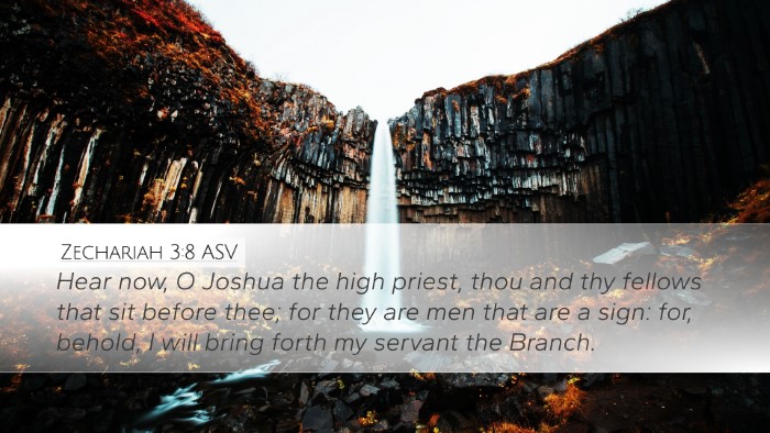 Zechariah 3:8 ASV Bible Verse Image