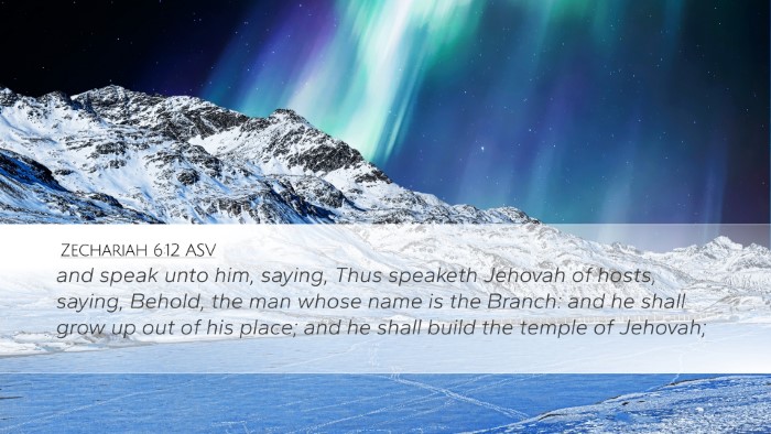 Zechariah 6:12 ASV Bible Verse Image
