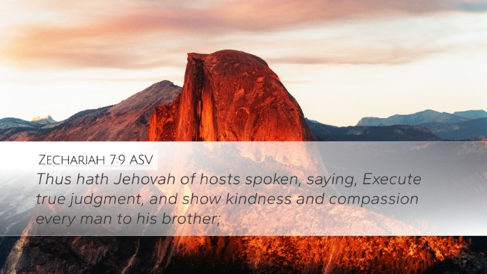 Zechariah 7:9 ASV Bible Verse Image