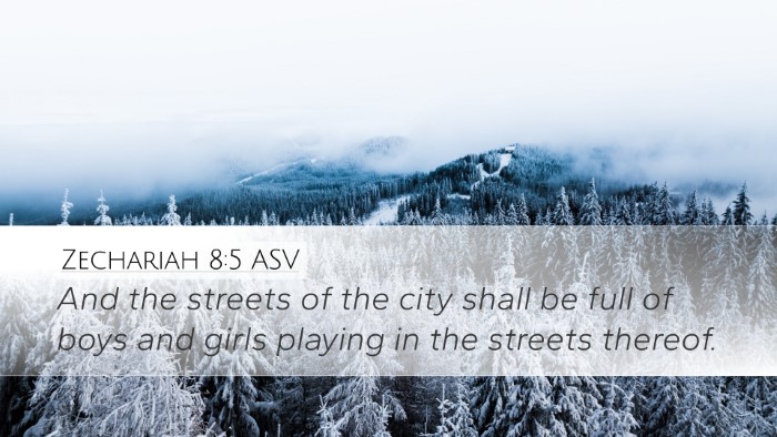 Zechariah 8:5 ASV Desktop Wallpaper - And the streets of the city shall be full of boys - Desktop Bible Verse Wallpaper