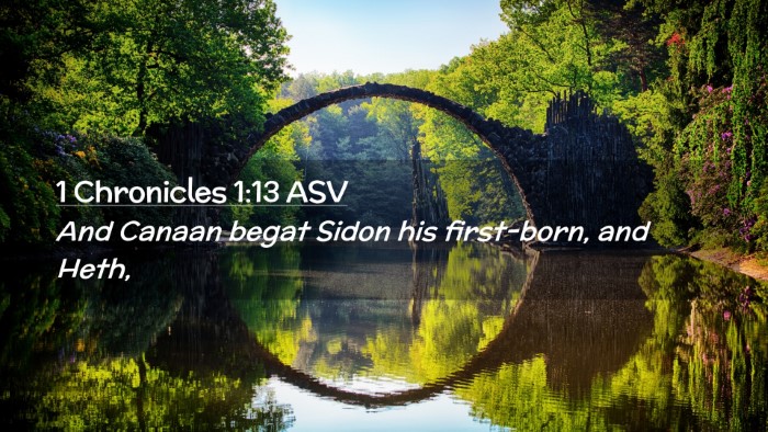 Picture 02 - 1 Chronicles 1:13 ASV Desktop Wallpaper - And Canaan begat Sidon his first-born, and - Desktop Bible Verse Wallpaper
