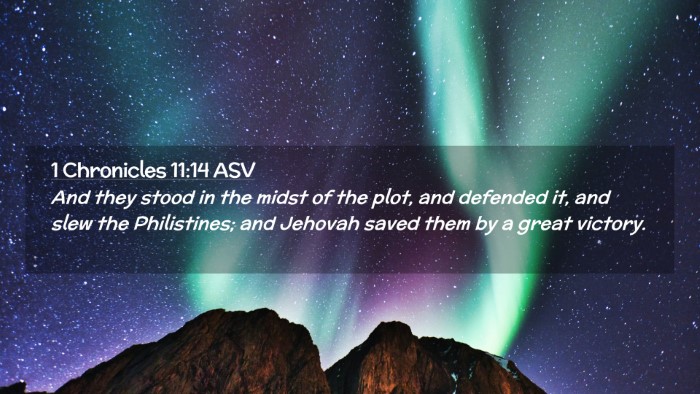 Picture 02 - 1 Chronicles 11:14 ASV Desktop Wallpaper - And they stood in the midst of the plot, and - Desktop Bible Verse Wallpaper