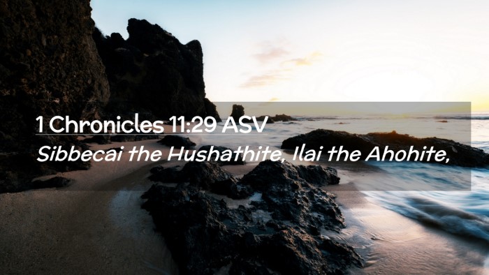 Picture 02 - 1 Chronicles 11:29 ASV Desktop Wallpaper - Sibbecai the Hushathite, Ilai the - Desktop Bible Verse Wallpaper