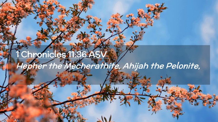 Picture 02 - 1 Chronicles 11:36 ASV Desktop Wallpaper - Hepher the Mecherathite, Ahijah the - Desktop Bible Verse Wallpaper