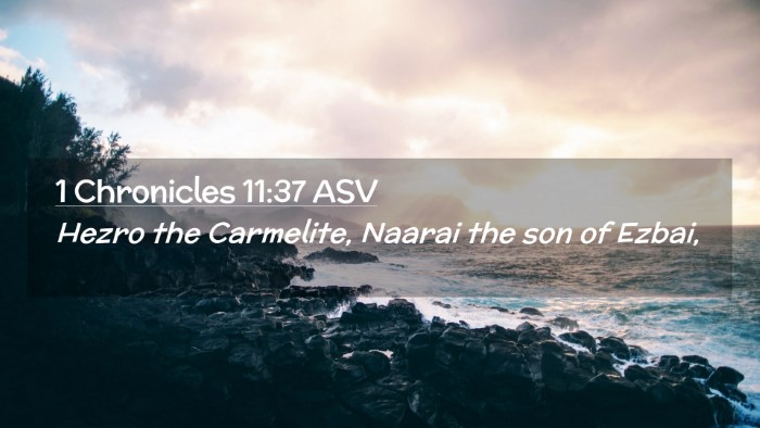 Picture 02 - 1 Chronicles 11:37 ASV Desktop Wallpaper - Hezro the Carmelite, Naarai the son of - Desktop Bible Verse Wallpaper