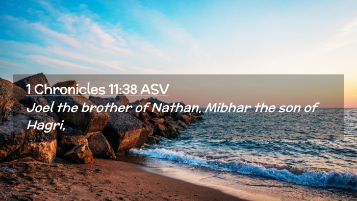 Picture 02 - 1 Chronicles 11:38 ASV Desktop Wallpaper - Joel the brother of Nathan, Mibhar the son of - Desktop Bible Verse Wallpaper