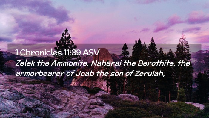 Picture 02 - 1 Chronicles 11:39 ASV Desktop Wallpaper - Zelek the Ammonite, Naharai the Berothite, the - Desktop Bible Verse Wallpaper