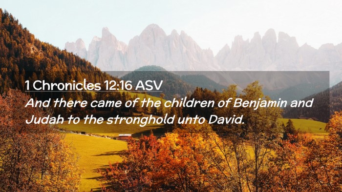 Picture 02 - 1 Chronicles 12:16 ASV Desktop Wallpaper - And there came of the children of Benjamin and - Desktop Bible Verse Wallpaper