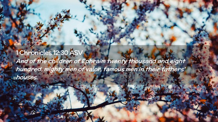 Picture 02 - 1 Chronicles 12:30 ASV Desktop Wallpaper - And of the children of Ephraim twenty thousand - Desktop Bible Verse Wallpaper