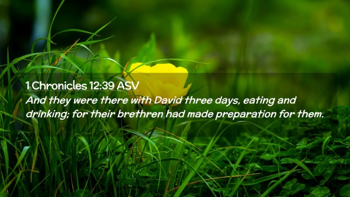 Picture 02 - 1 Chronicles 12:39 ASV Desktop Wallpaper - And they were there with David three days, eating - Desktop Bible Verse Wallpaper