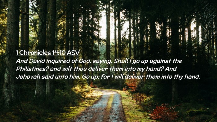 Picture 02 - 1 Chronicles 14:10 ASV Desktop Wallpaper - And David inquired of God, saying, Shall I go up - Desktop Bible Verse Wallpaper