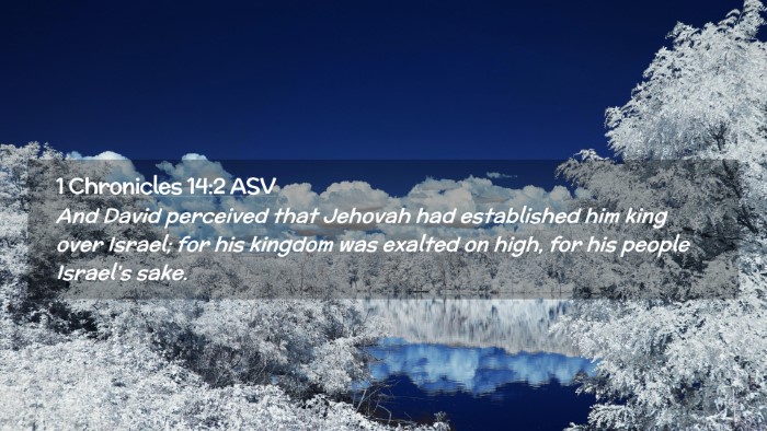 Picture 02 - 1 Chronicles 14:2 ASV Desktop Wallpaper - And David perceived that Jehovah had established - Desktop Bible Verse Wallpaper