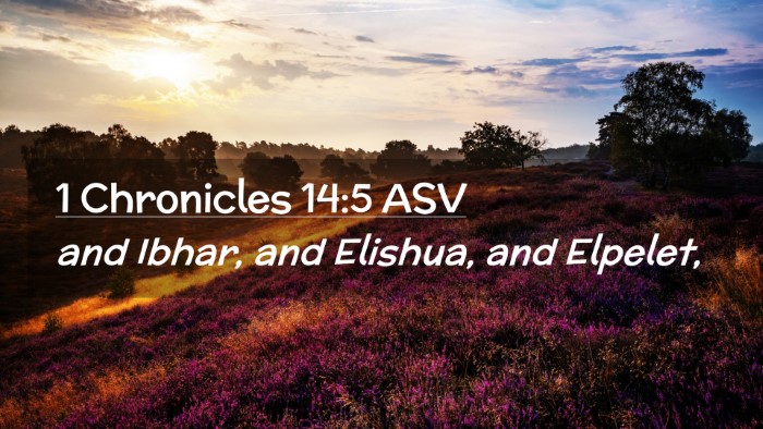 Picture 02 - 1 Chronicles 14:5 ASV Desktop Wallpaper - and Ibhar, and Elishua, and - Desktop Bible Verse Wallpaper