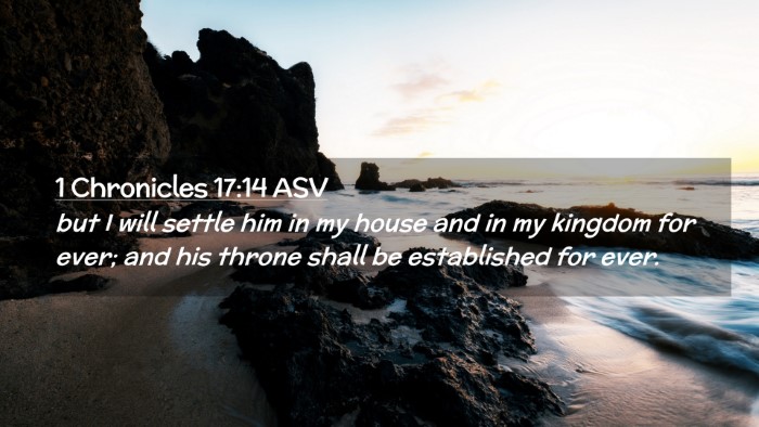 Picture 02 - 1 Chronicles 17:14 ASV Desktop Wallpaper - but I will settle him in my house and in my - Desktop Bible Verse Wallpaper