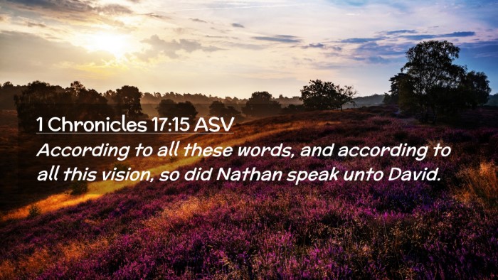 Picture 02 - 1 Chronicles 17:15 ASV Desktop Wallpaper - According to all these words, and according to - Desktop Bible Verse Wallpaper