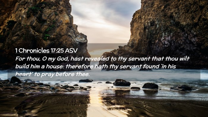 Picture 02 - 1 Chronicles 17:25 ASV Desktop Wallpaper - For thou, O my God, hast revealed to thy servant - Desktop Bible Verse Wallpaper