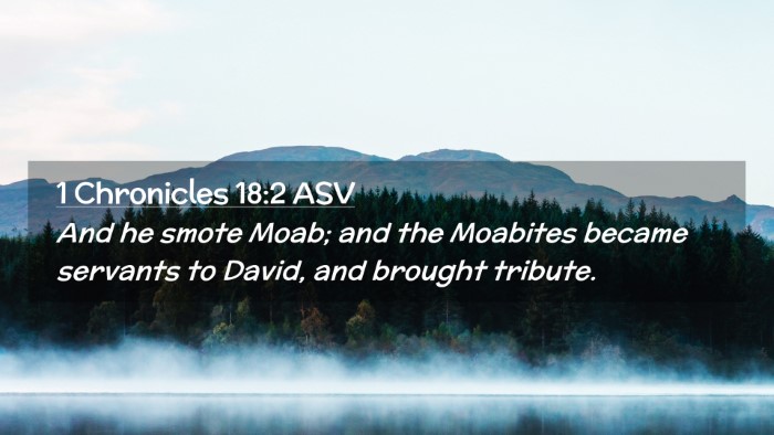 Picture 02 - 1 Chronicles 18:2 ASV Desktop Wallpaper - And he smote Moab; and the Moabites became - Desktop Bible Verse Wallpaper