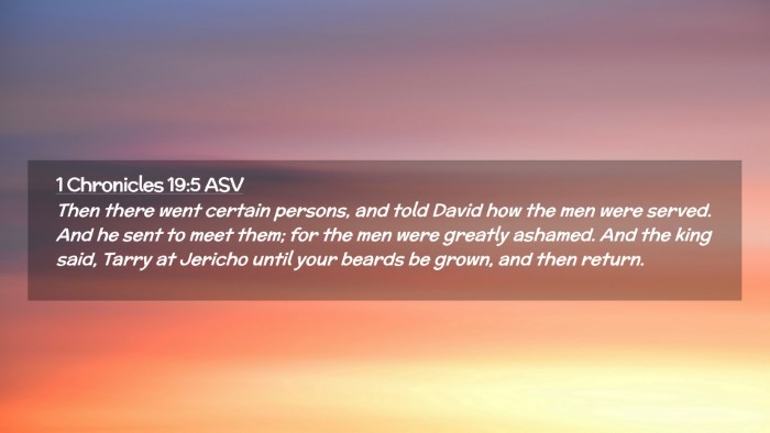Picture 02 - 1 Chronicles 19:5 ASV Desktop Wallpaper - Then there went certain persons, and told David - Desktop Bible Verse Wallpaper