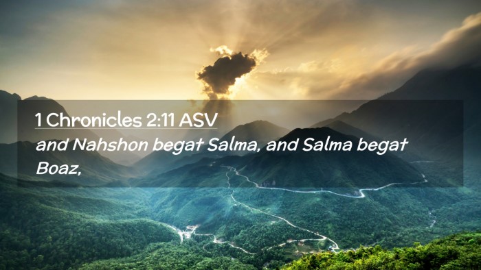 Picture 02 - 1 Chronicles 2:11 ASV Desktop Wallpaper - and Nahshon begat Salma, and Salma begat - Desktop Bible Verse Wallpaper