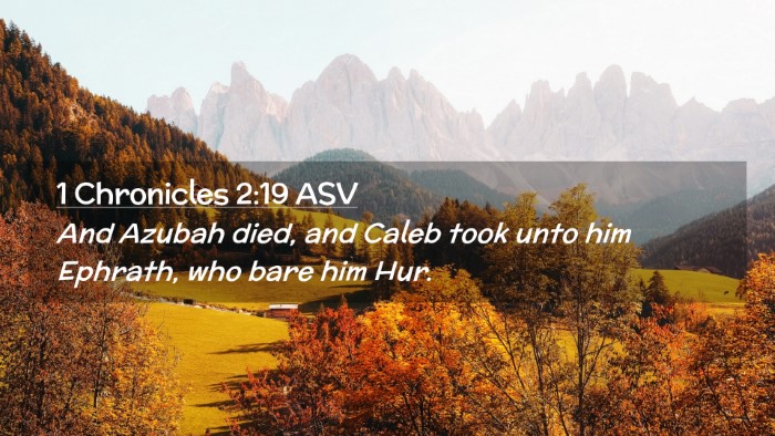 Picture 02 - 1 Chronicles 2:19 ASV Desktop Wallpaper - And Azubah died, and Caleb took unto him Ephrath, - Desktop Bible Verse Wallpaper