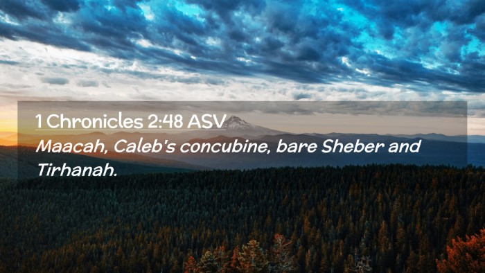 Picture 02 - 1 Chronicles 2:48 ASV Desktop Wallpaper - Maacah, Caleb's concubine, bare Sheber and - Desktop Bible Verse Wallpaper