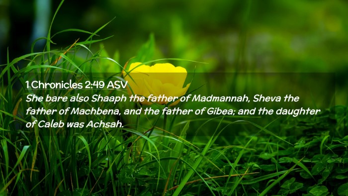 Picture 02 - 1 Chronicles 2:49 ASV Desktop Wallpaper - She bare also Shaaph the father of Madmannah, - Desktop Bible Verse Wallpaper
