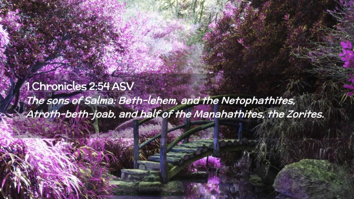 Picture 02 - 1 Chronicles 2:54 ASV Desktop Wallpaper - The sons of Salma: Beth-lehem, and the - Desktop Bible Verse Wallpaper