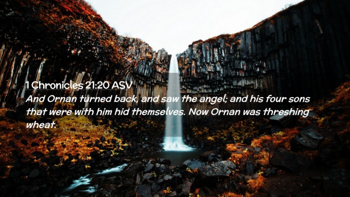 Picture 02 - 1 Chronicles 21:20 ASV Desktop Wallpaper - And Ornan turned back, and saw the angel; and his - Desktop Bible Verse Wallpaper