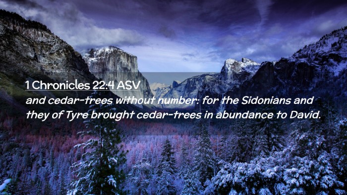 Picture 02 - 1 Chronicles 22:4 ASV Desktop Wallpaper - and cedar-trees without number: for the Sidonians - Desktop Bible Verse Wallpaper