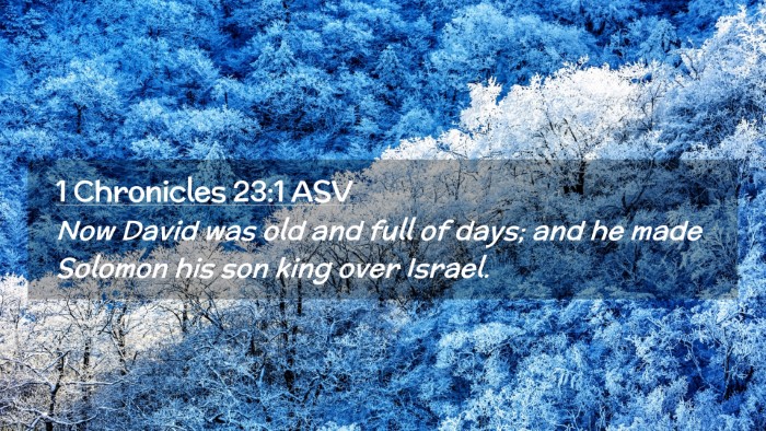 Picture 02 - 1 Chronicles 23:1 ASV Desktop Wallpaper - Now David was old and full of days; and he made - Desktop Bible Verse Wallpaper