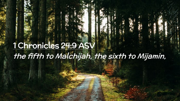 Picture 02 - 1 Chronicles 24:9 ASV Desktop Wallpaper - the fifth to Malchijah, the sixth to - Desktop Bible Verse Wallpaper