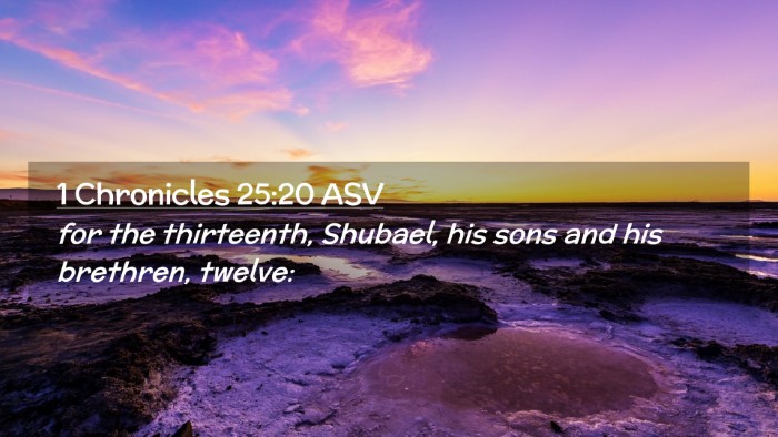 Picture 02 - 1 Chronicles 25:20 ASV Desktop Wallpaper - for the thirteenth, Shubael, his sons and his - Desktop Bible Verse Wallpaper