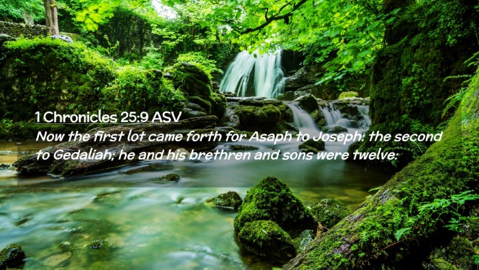 Picture 02 - 1 Chronicles 25:9 ASV Desktop Wallpaper - Now the first lot came forth for Asaph to Joseph: - Desktop Bible Verse Wallpaper