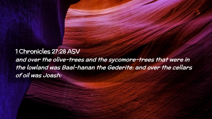 Picture 02 - 1 Chronicles 27:28 ASV Desktop Wallpaper - and over the olive-trees and the sycomore-trees - Desktop Bible Verse Wallpaper