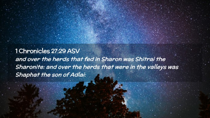 Picture 02 - 1 Chronicles 27:29 ASV Desktop Wallpaper - and over the herds that fed in Sharon was Shitrai - Desktop Bible Verse Wallpaper