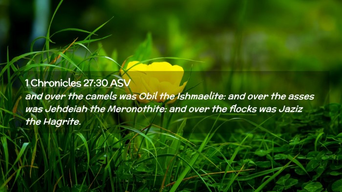 Picture 02 - 1 Chronicles 27:30 ASV Desktop Wallpaper - and over the camels was Obil the Ishmaelite: and - Desktop Bible Verse Wallpaper