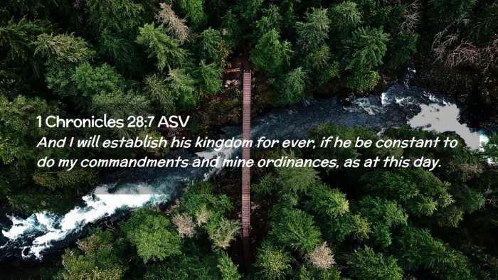 Picture 02 - 1 Chronicles 28:7 ASV Desktop Wallpaper - And I will establish his kingdom for ever, if he - Desktop Bible Verse Wallpaper