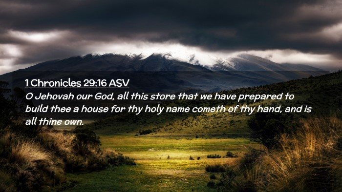 Picture 02 - 1 Chronicles 29:16 ASV Desktop Wallpaper - O Jehovah our God, all this store that we have - Desktop Bible Verse Wallpaper